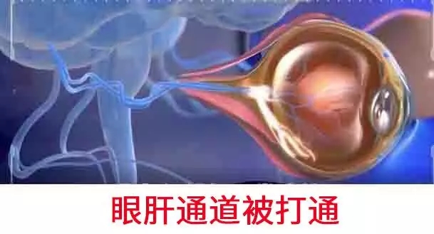 1754513491148534.jpg 43bc3aa9190b2cd2786f3ba5fd94d4a2.jpg